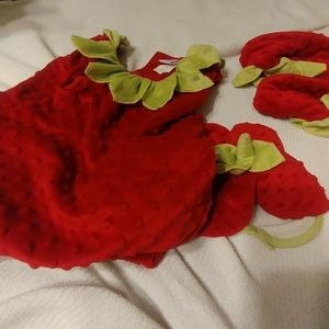 2T/3T Gymboree Toddler Strawberry Costume